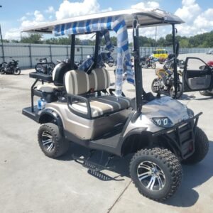 Affordable 2022 ICON Golf Cart