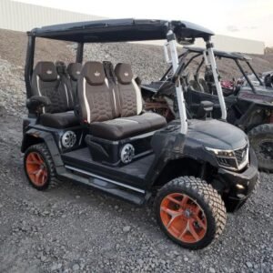 2025 EVOLUTION GOLF CART