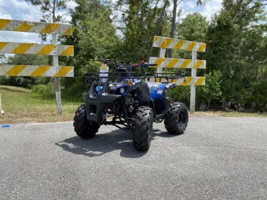The Buyer's Guide to the Right Beginner ATVs for Kids